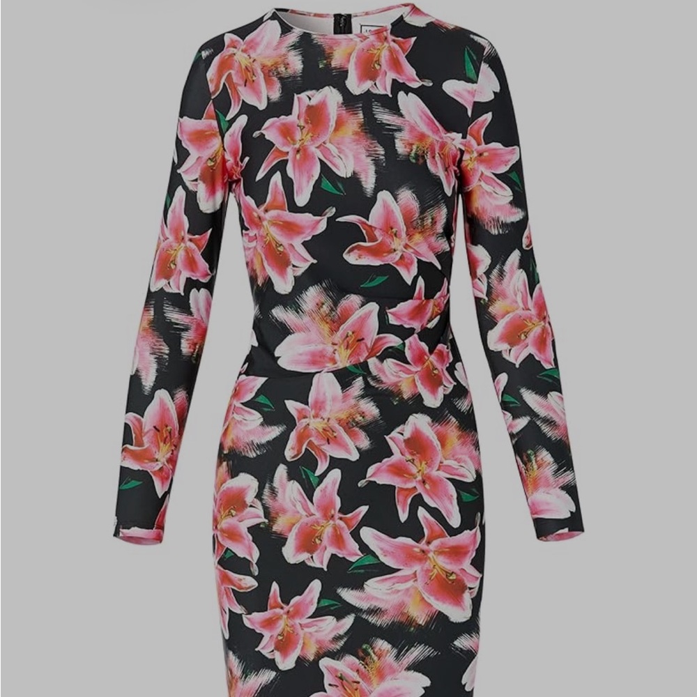 JONATHAN COHEN lily  floral dress  size large long sleeve